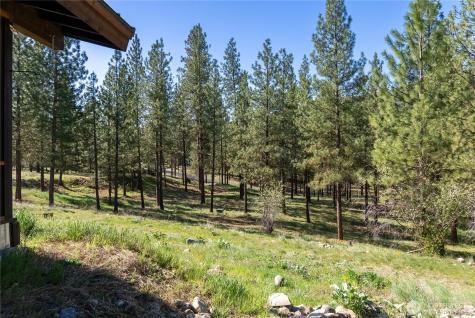 21 Twin Lakes Drive Winthrop WA 98862