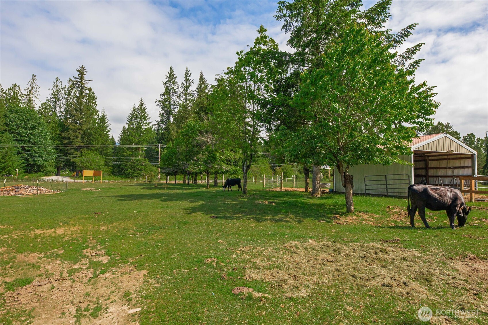 8235 Lusk Road Concrete WA 98237