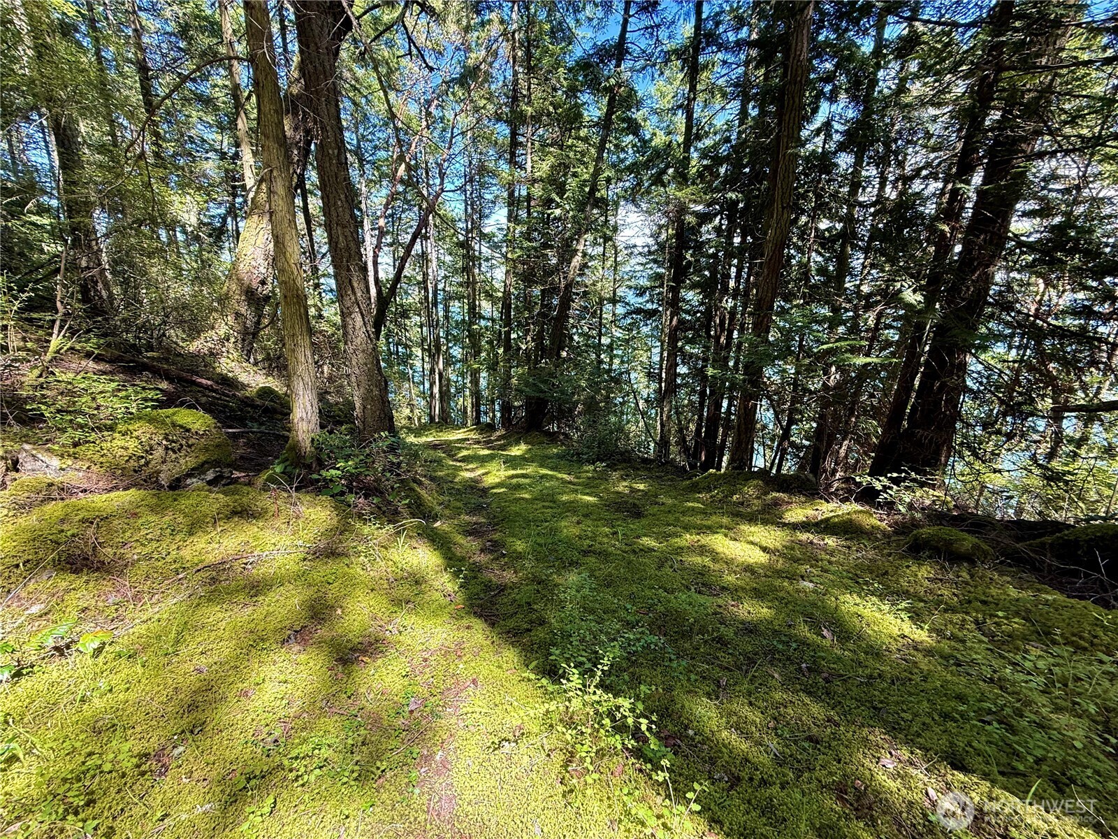 92 Flagpoint Lane Friday Harbor WA 98250
