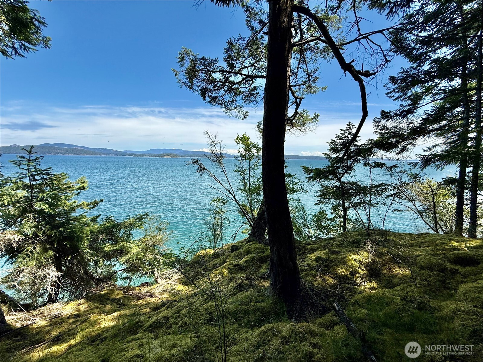 92 Flagpoint Lane Friday Harbor WA 98250