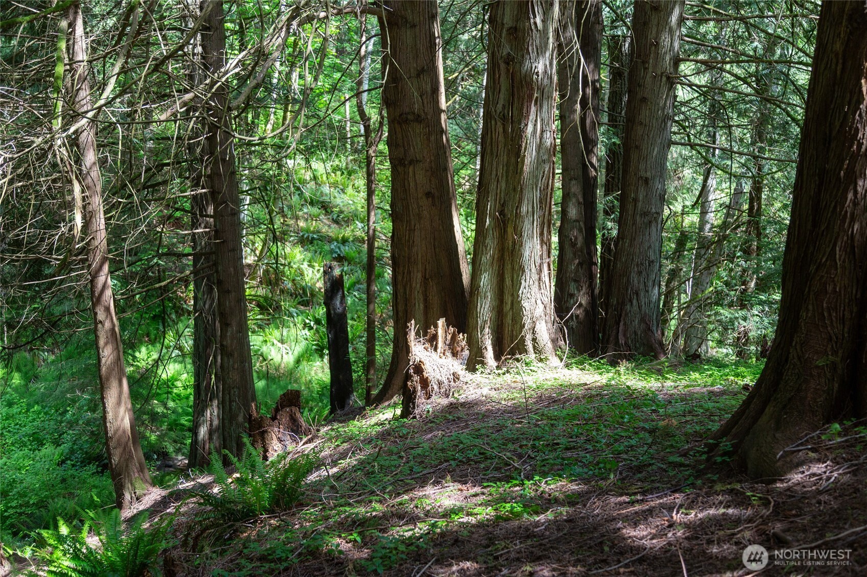 60 Miller Road Friday Harbor WA 98250