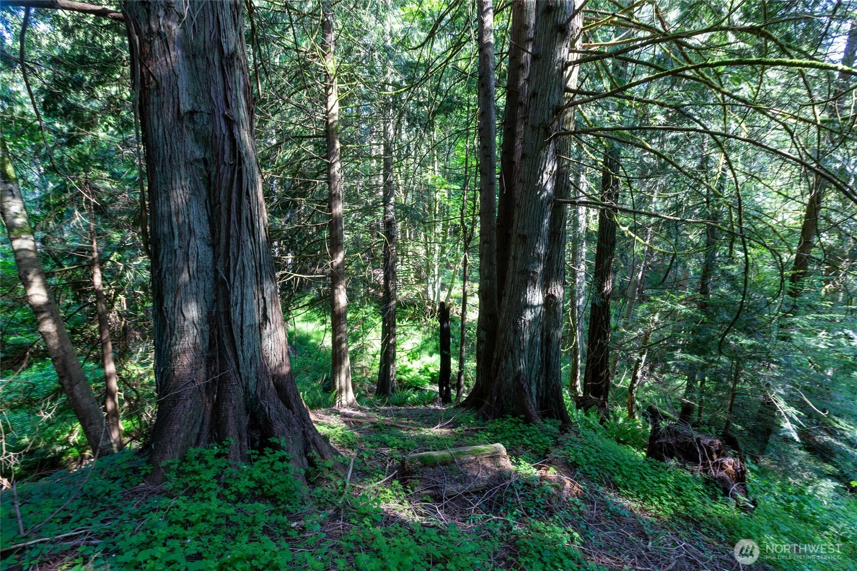 60 Miller Road Friday Harbor WA 98250
