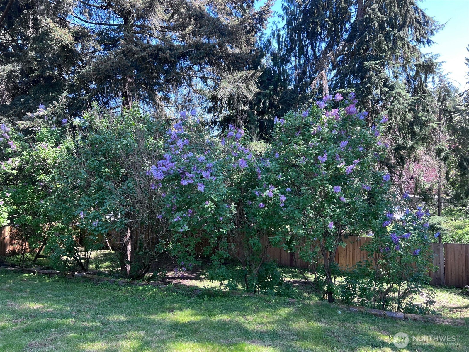 19409 110th Avenue Ct E Graham WA 98338
