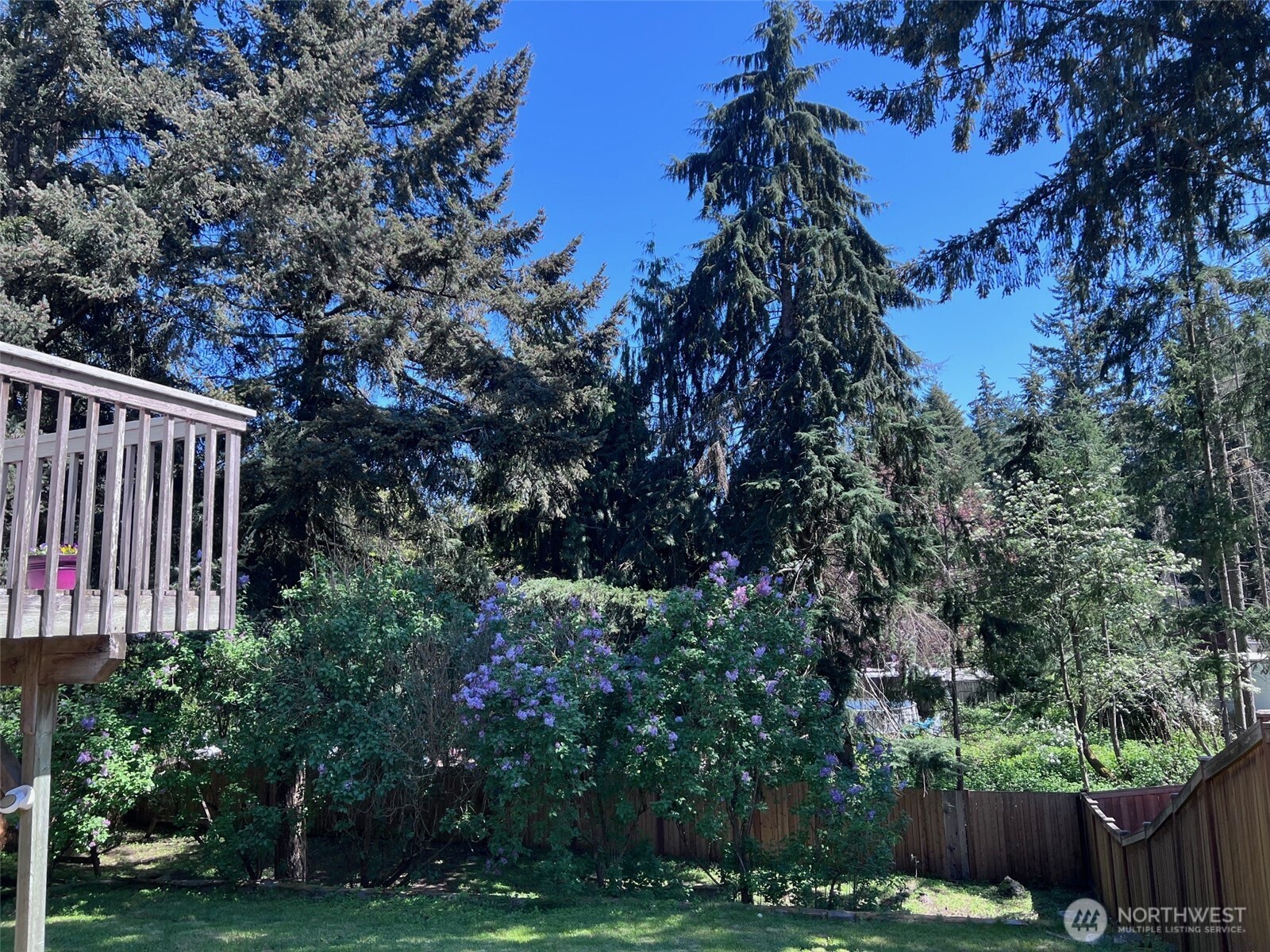 19409 110th Avenue Ct E Graham WA 98338