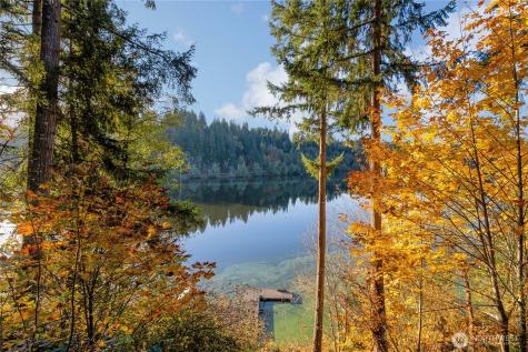 40424 Ski Park Road E Eatonville WA 98328