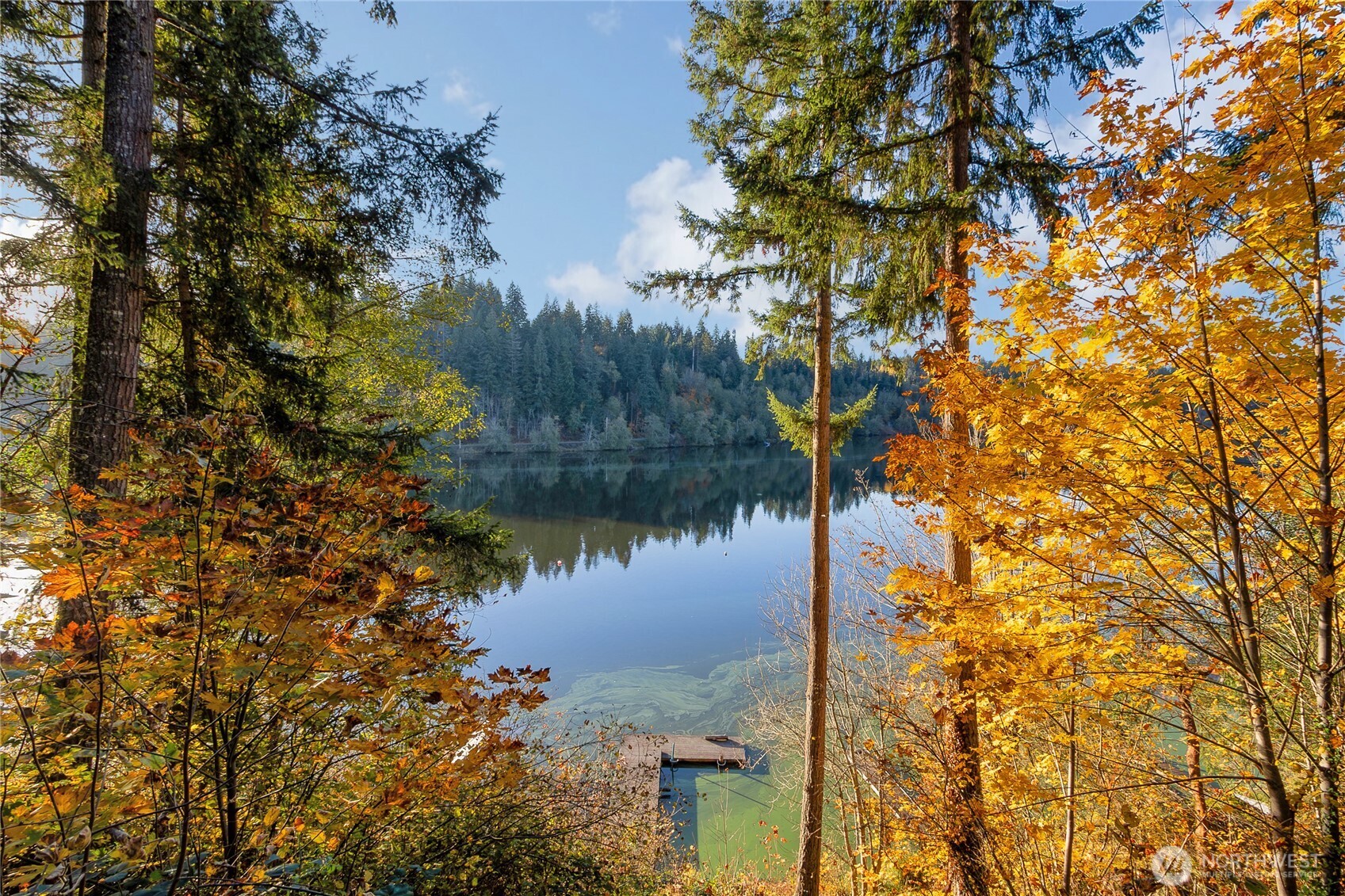 40424 Ski Park Road E Eatonville WA 98328