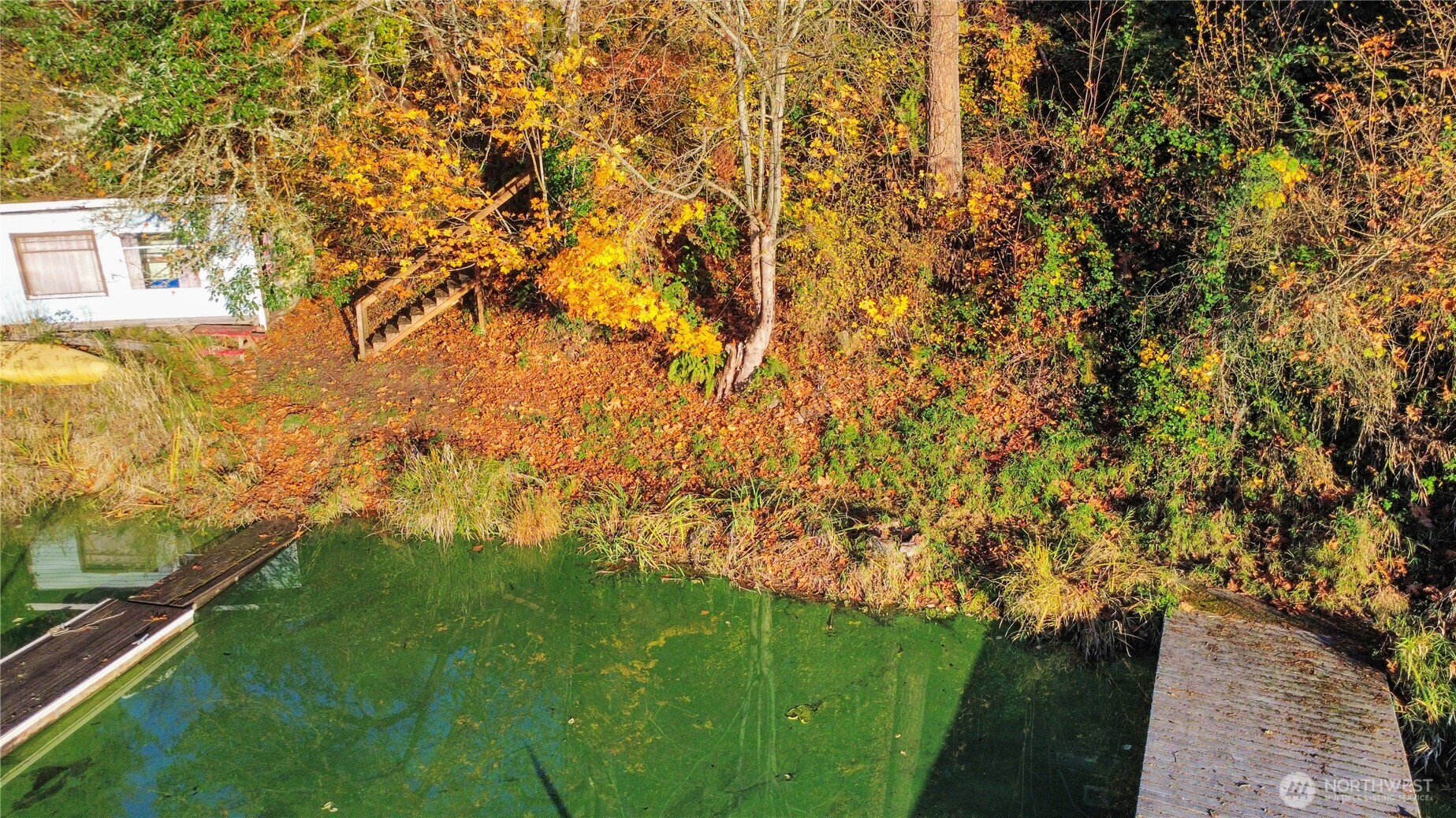 40424 Ski Park Road E Eatonville WA 98328
