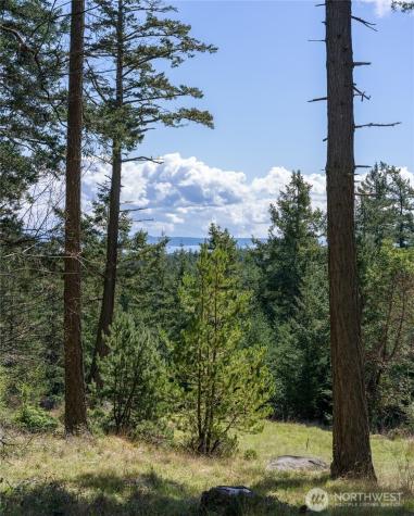 186 South Ridge Road Decatur Island WA 98221