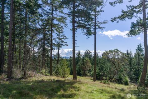 186 South Ridge Road Decatur Island WA 98221