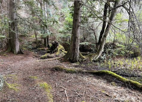 186 South Ridge Road Decatur Island WA 98221