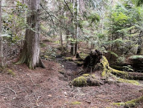 186 South Ridge Road Decatur Island WA 98221