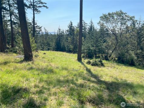 186 South Ridge Road Decatur Island WA 98221