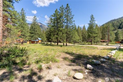 13 Littel Road Mazama WA 98833