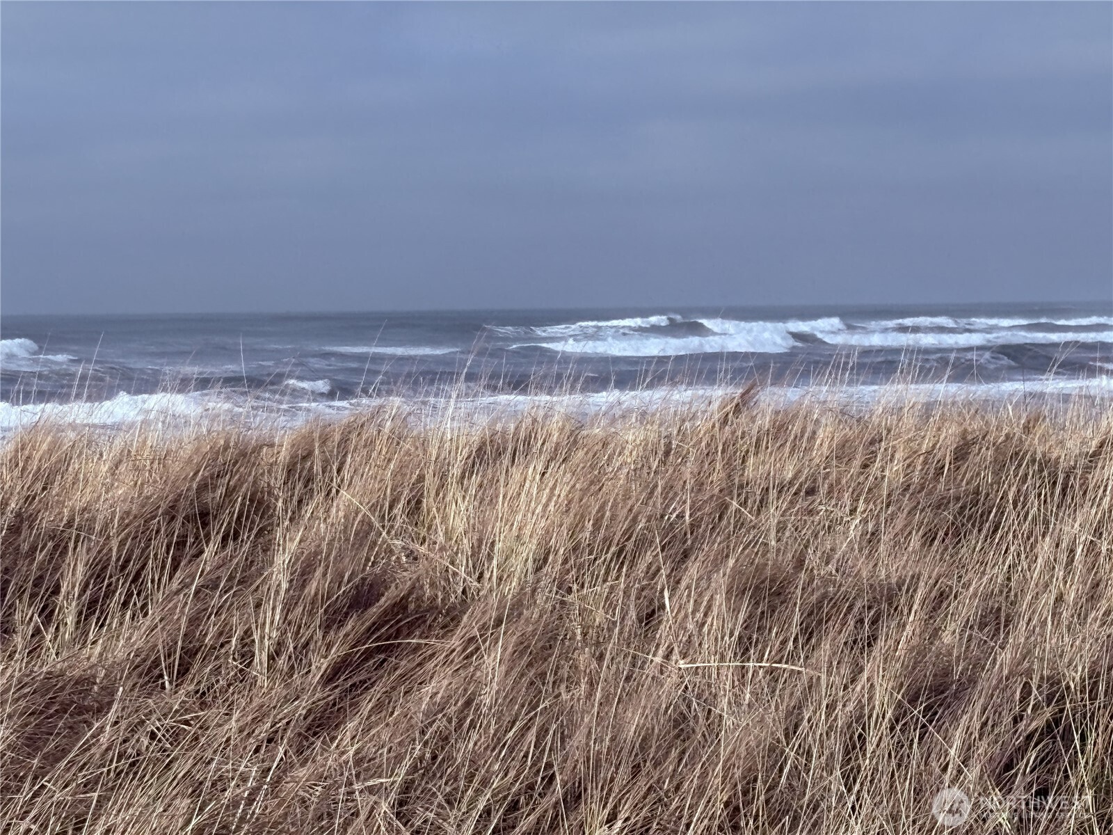 1399 Ocean Shores Boulevard SW Ocean Shores WA 98569