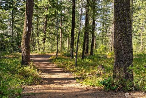 33 Freestone Lake Drive Mazama WA 98833