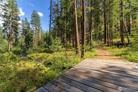 33 Freestone Lake Drive Mazama WA 98833