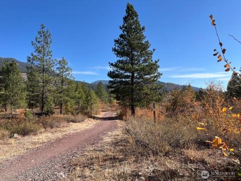 33 Freestone Lake Drive Mazama WA 98833