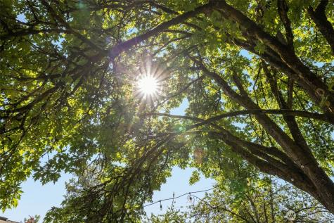 11216 E Riverside Drive Bothell WA 98011