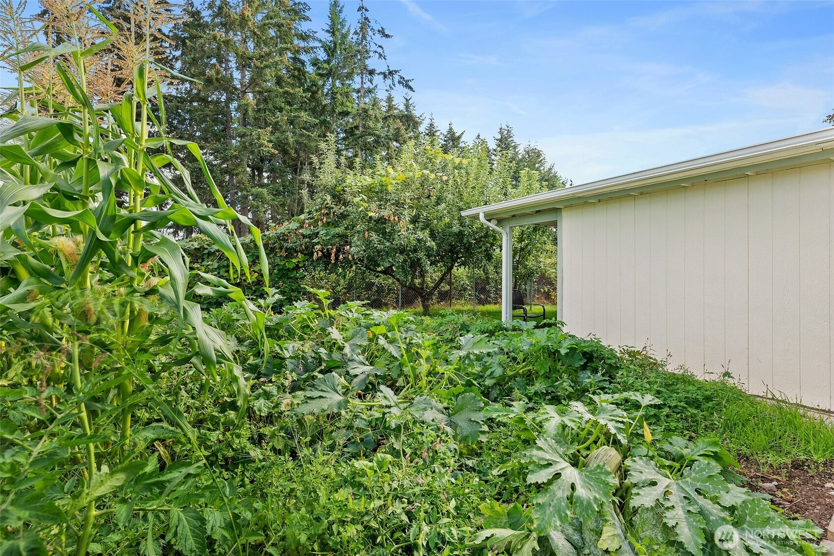 20517 10th Avenue E Spanaway WA 98387