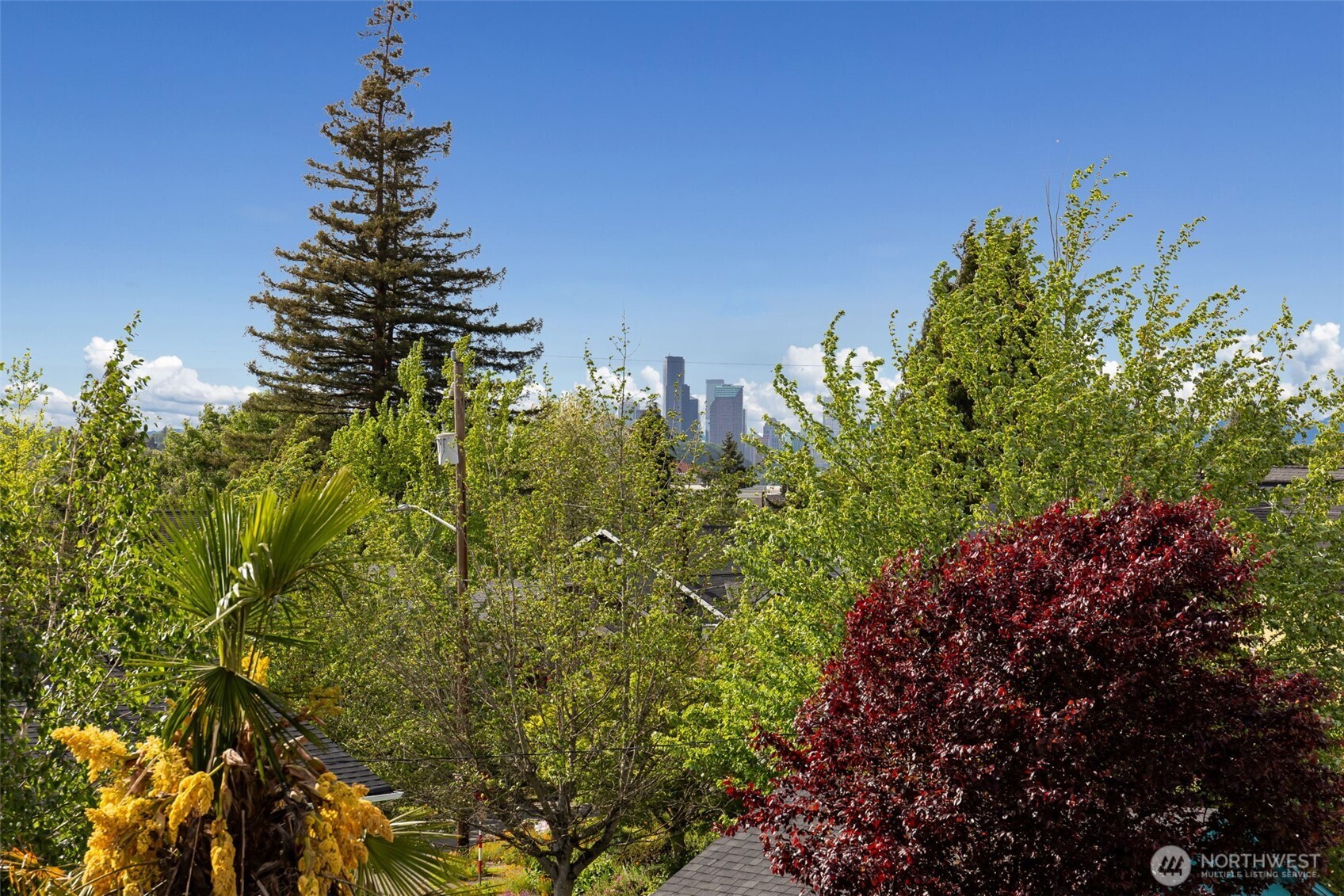 3811 39th Avenue S Seattle WA 98118