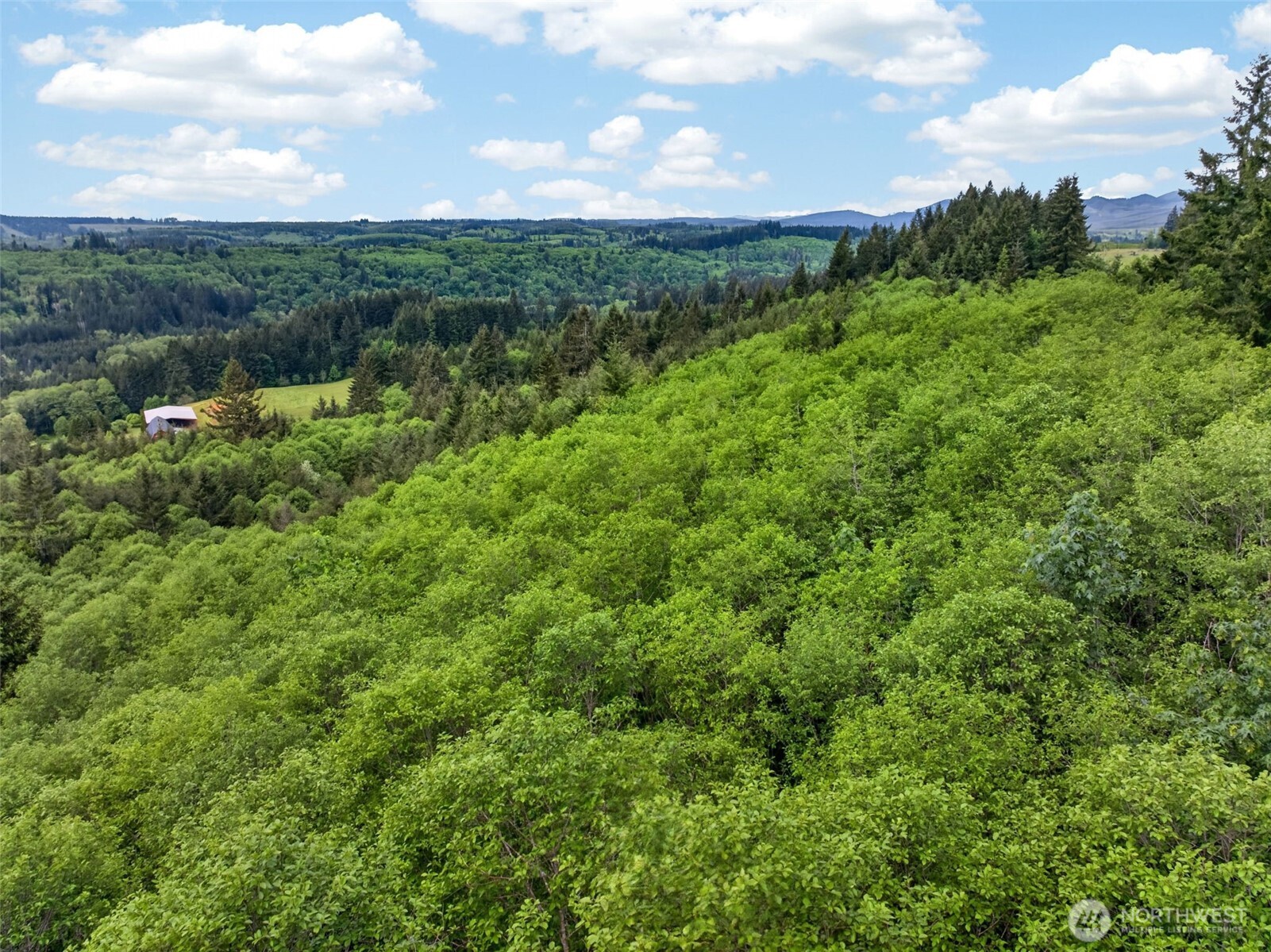 943 Fall Creek Road Longview WA 98632