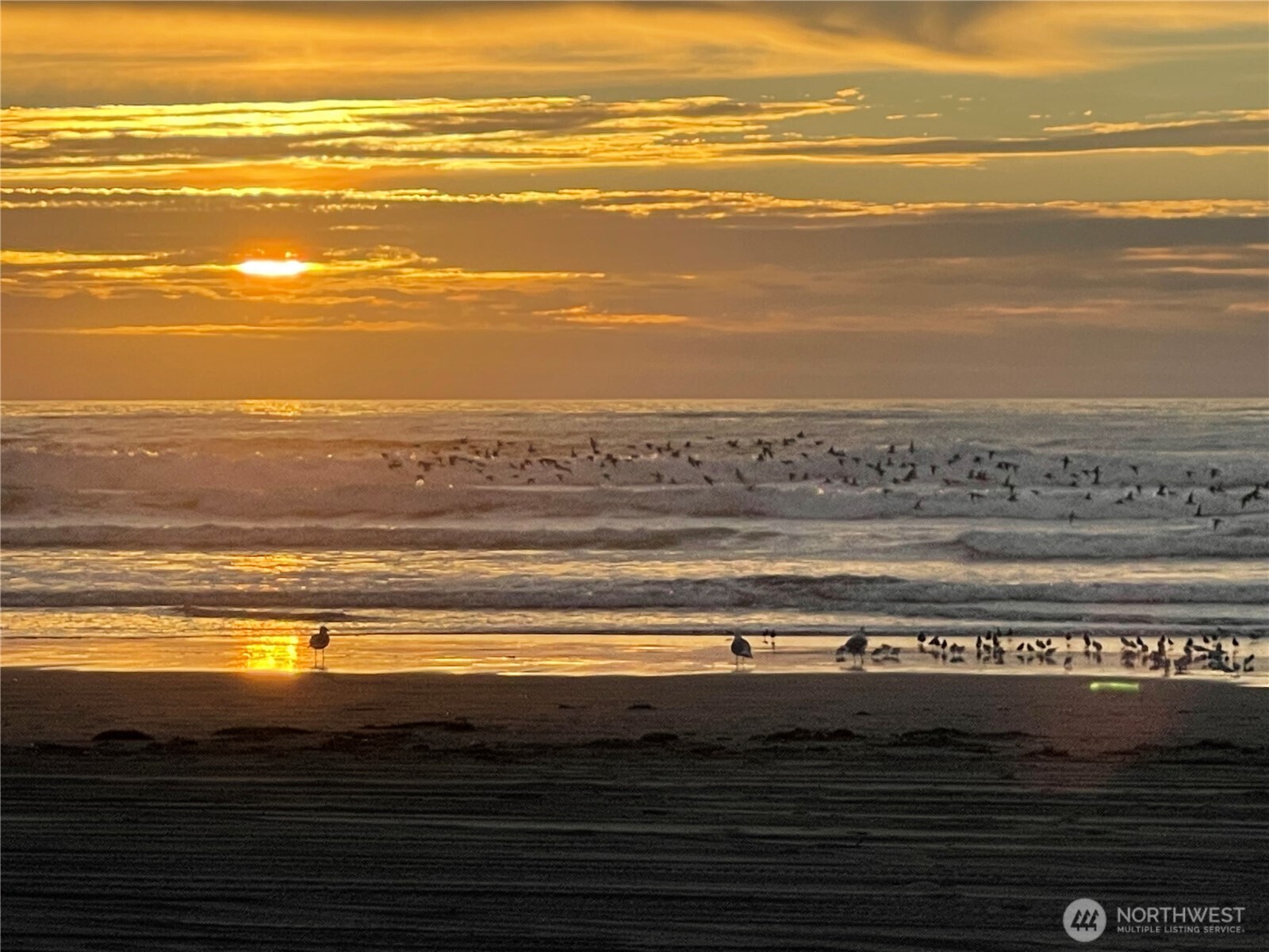 420 Swordfern Court SW Ocean Shores WA 98569