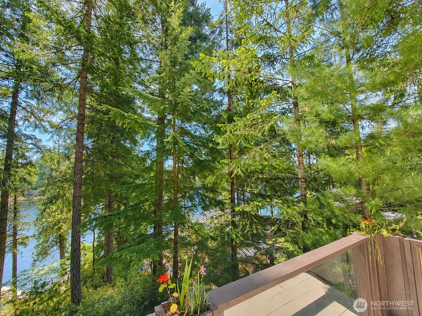 1841 NE Haven Way Tahuya WA 98388
