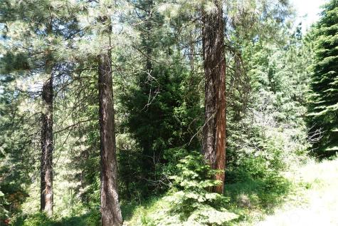 25813 Bridle Lane Leavenworth WA 98826