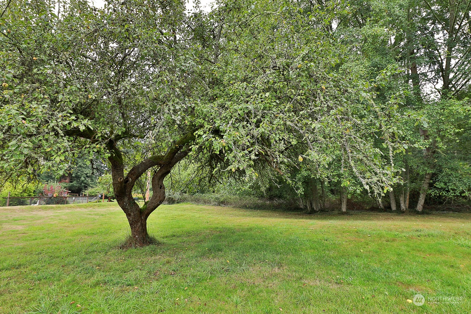 321 Edgecliff Drive Langley WA 98260