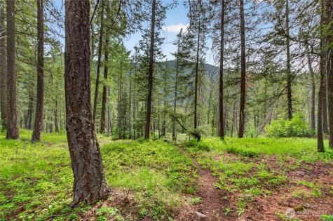 19 A And B Two Rivers Road Mazama WA 98833