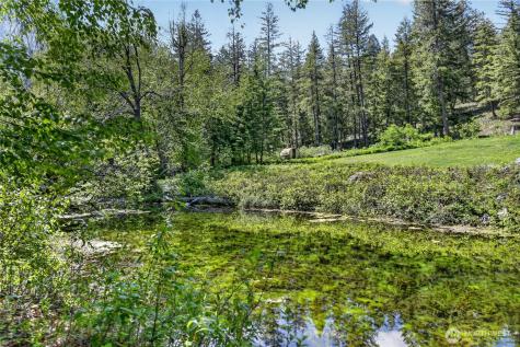 19 A And B Two Rivers Road Mazama WA 98833