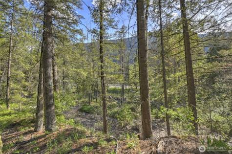 19 A And B Two Rivers Road Mazama WA 98833