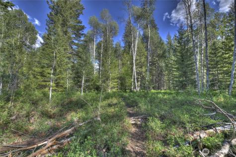 19 A And B Two Rivers Road Mazama WA 98833