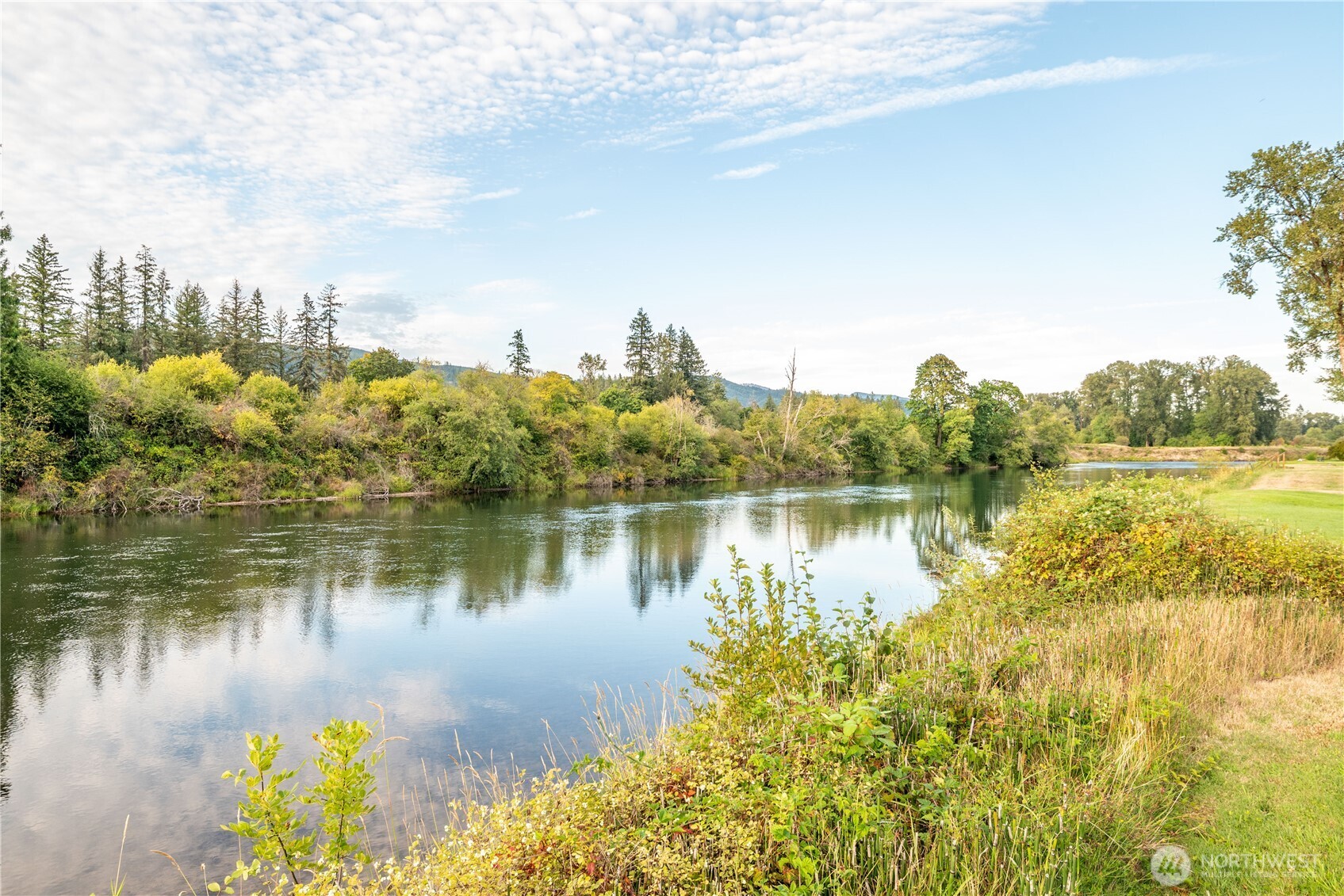 3004 Blue Heron Drive Woodland WA 98674