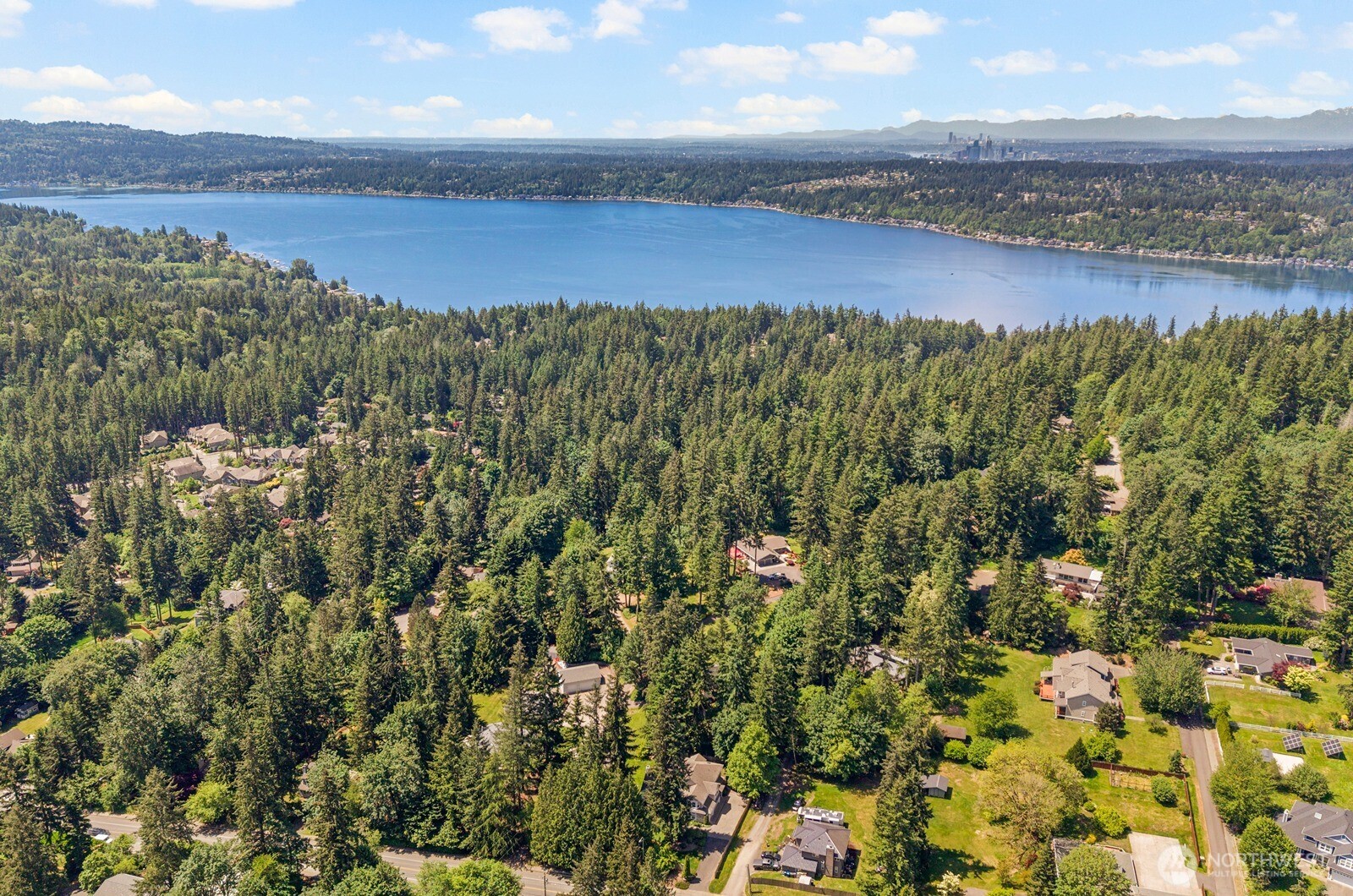 1239 216th Avenue NE Sammamish WA 98074