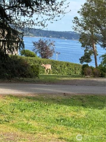 14310 90th Street Ct NW Gig Harbor WA 98329