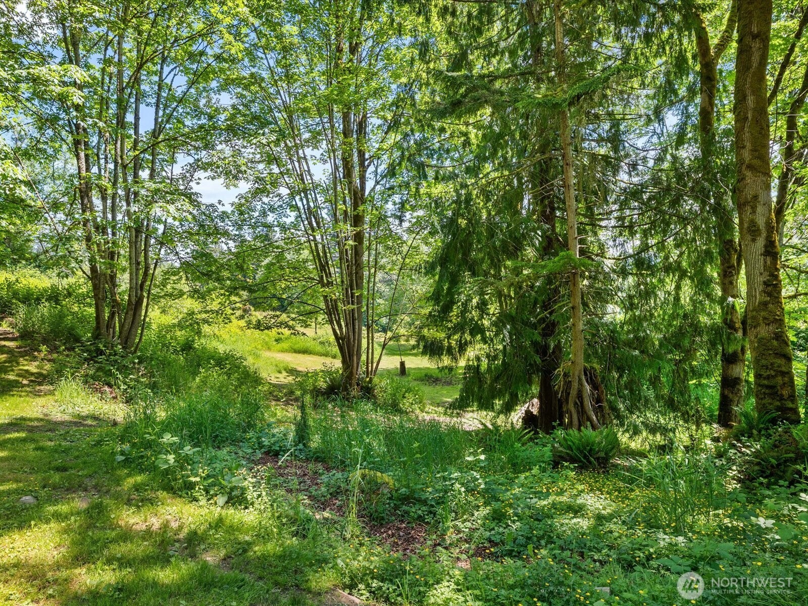 30613 NE 183rd Street Duvall WA 98019