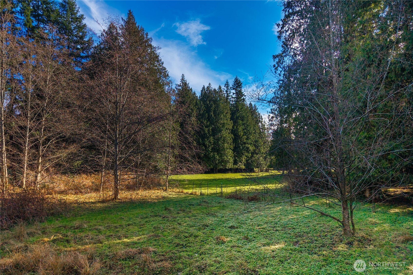 10330 56th Street SE Snohomish WA 98290
