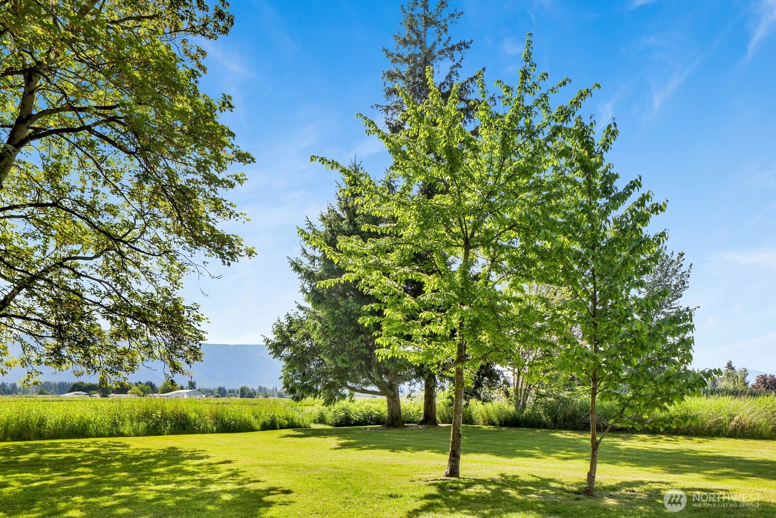 8172 Van Buren Road Everson WA 98247
