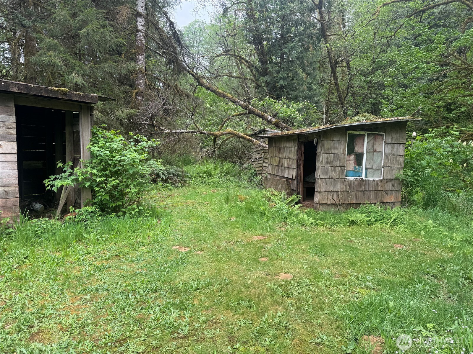 1031 Harmony Drive Longview WA 98632