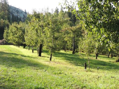 9291 Pakascwa Road Peshastin WA 98847