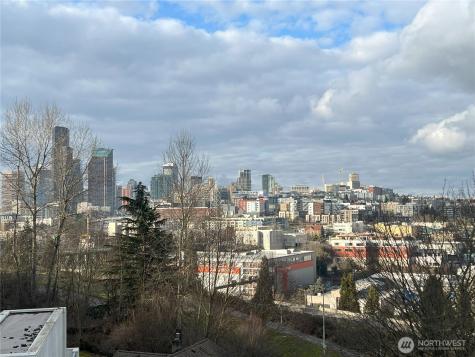 1015 Sturgus Avenue S Seattle WA 98144