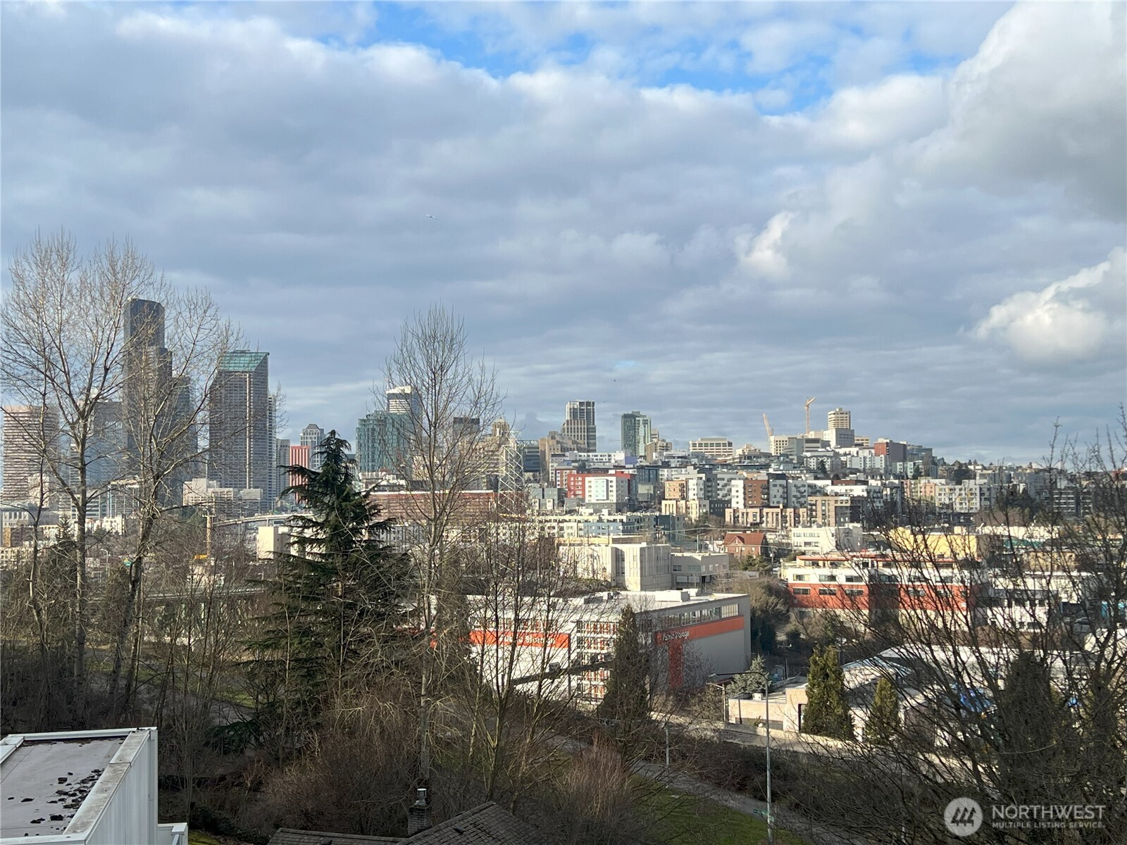 1015 Sturgus Avenue S Seattle WA 98144