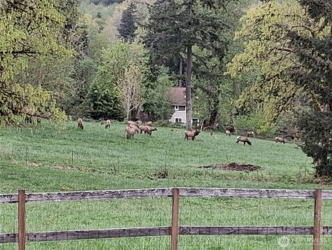 25906 272nd Avenue SE Ravensdale WA 98051