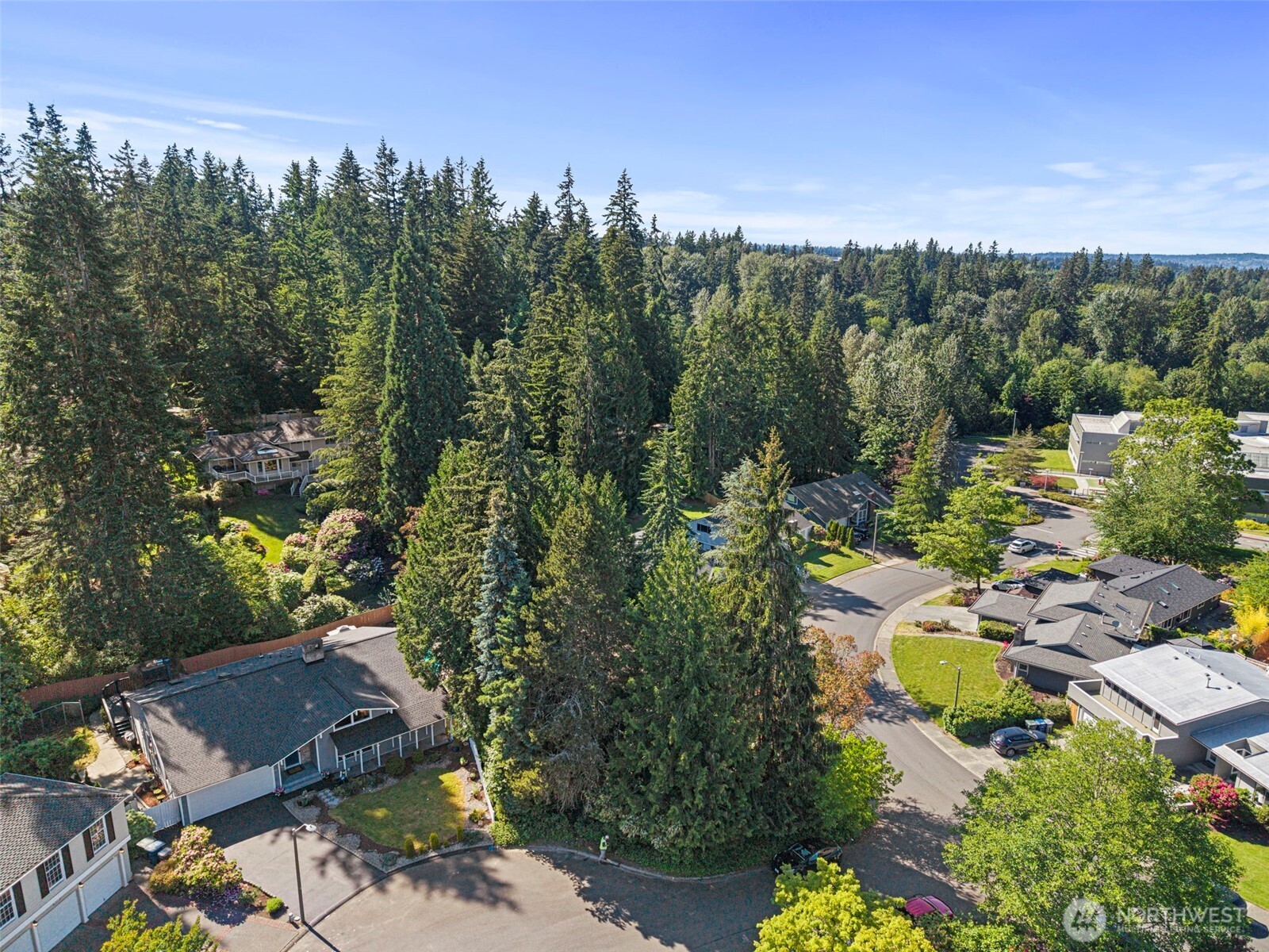 3027 167th Avenue NE Bellevue WA 98008