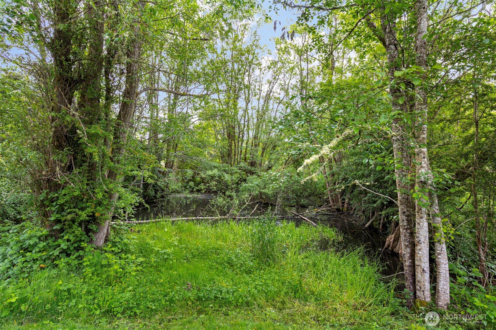 4710 New Sweden Avenue NE Bainbridge Island WA 98110