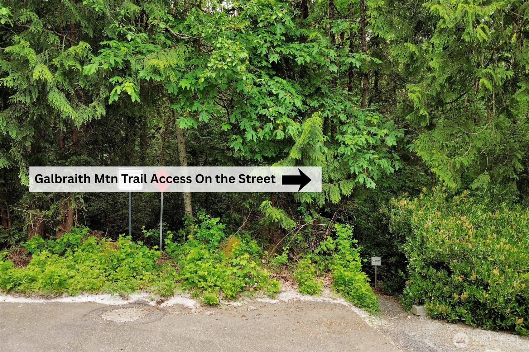 1081 Cedar Hills Avenue Bellingham WA 98229