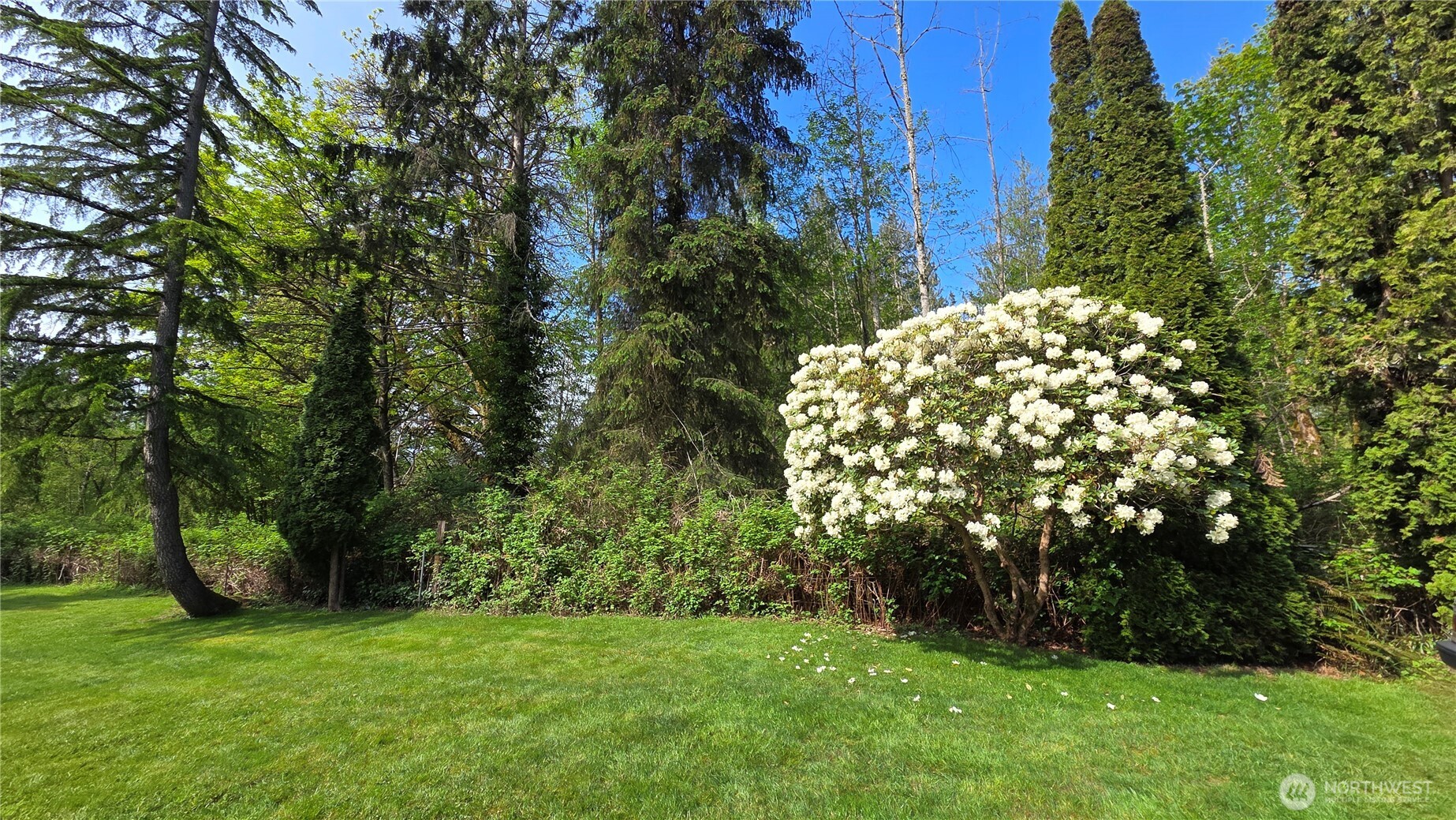 10110 60th Street SE Snohomish WA 98290