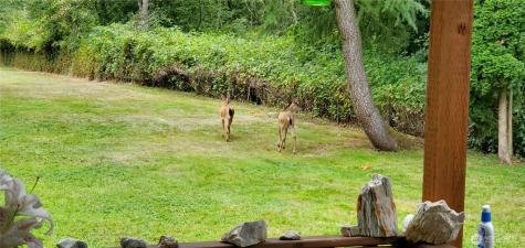 10110 60th Street SE Snohomish WA 98290