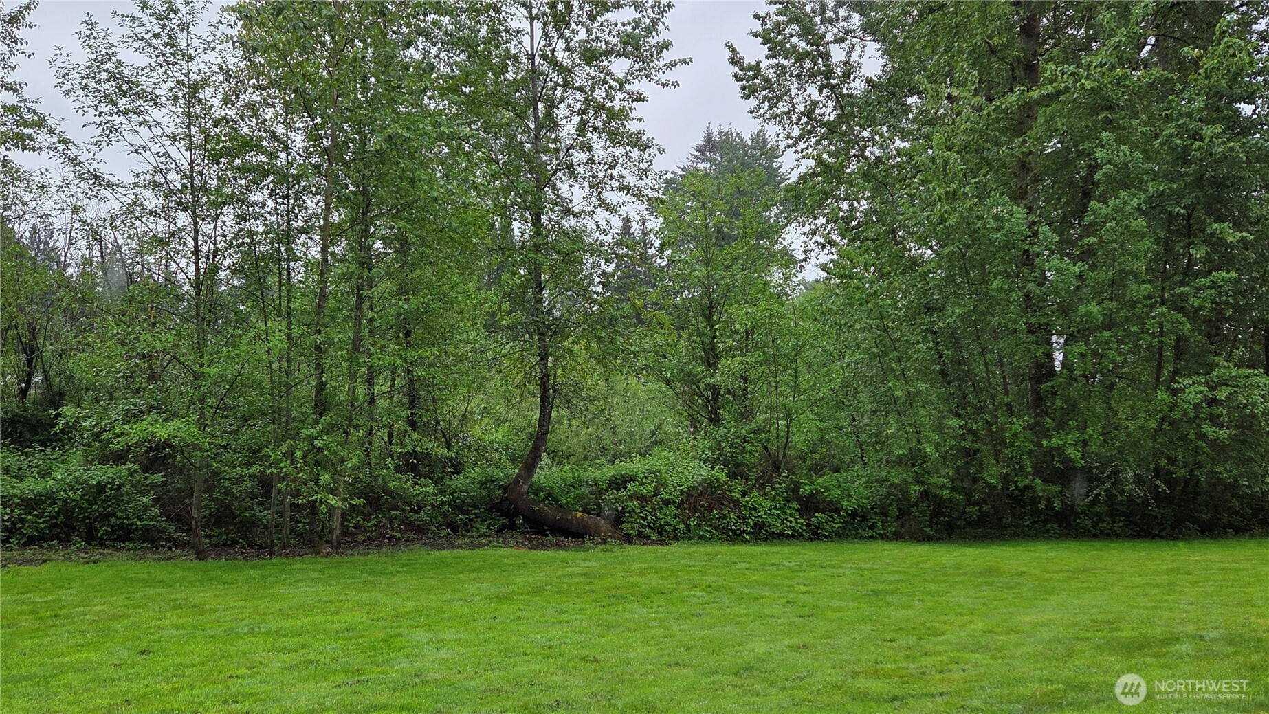 10110 60th Street SE Snohomish WA 98290